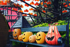 It's About Socks and Halloween